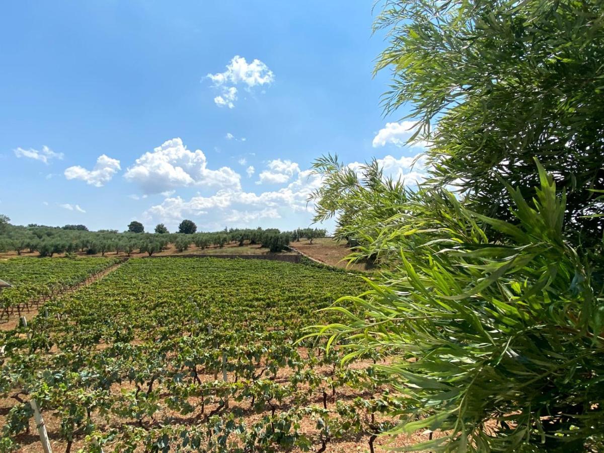 Tenuta Montanaro Locorotondo Exterior photo