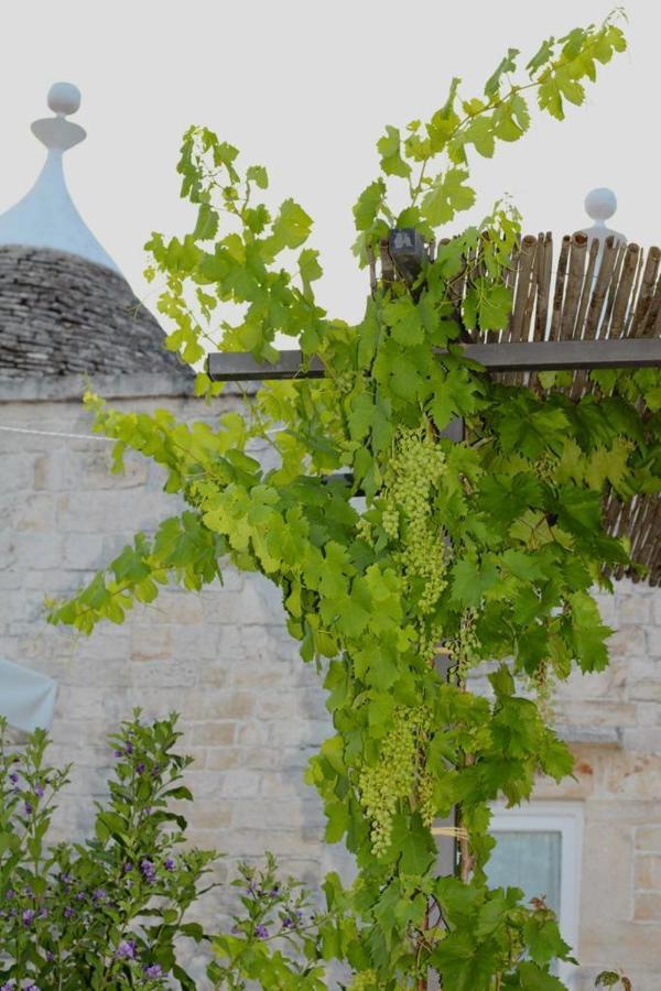 Tenuta Montanaro Locorotondo Exterior photo